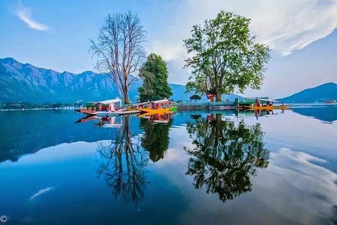 Kashmir Paradise Tour